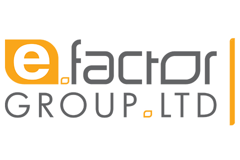 E-Factor Group